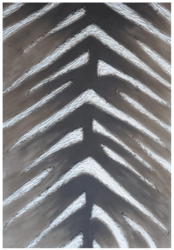 Art – Herringbone
