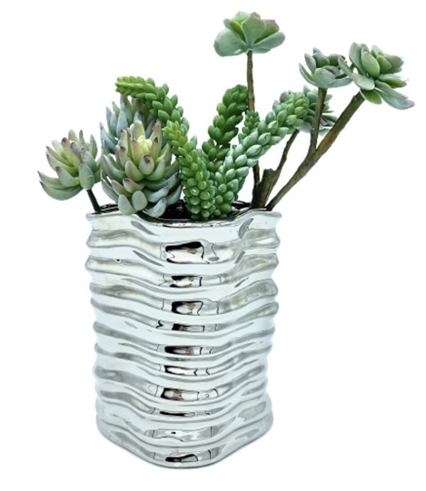 Arrangement 56 - Assorted Succulents & Cacti in Chrome Wave Vase