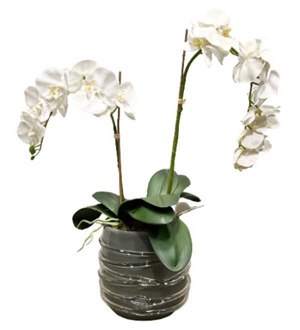 Arrangement 52 - Double Orchid in Grey Vase