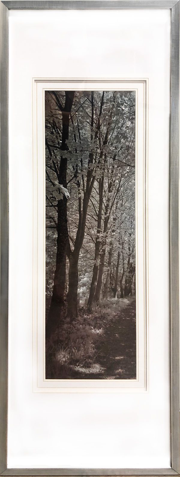 Art - Tree Line