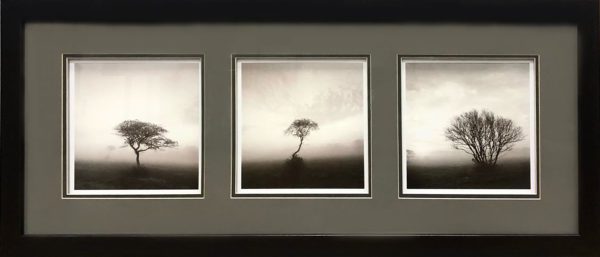 Art - Three Trees