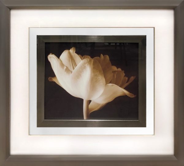 Art - Blooming I