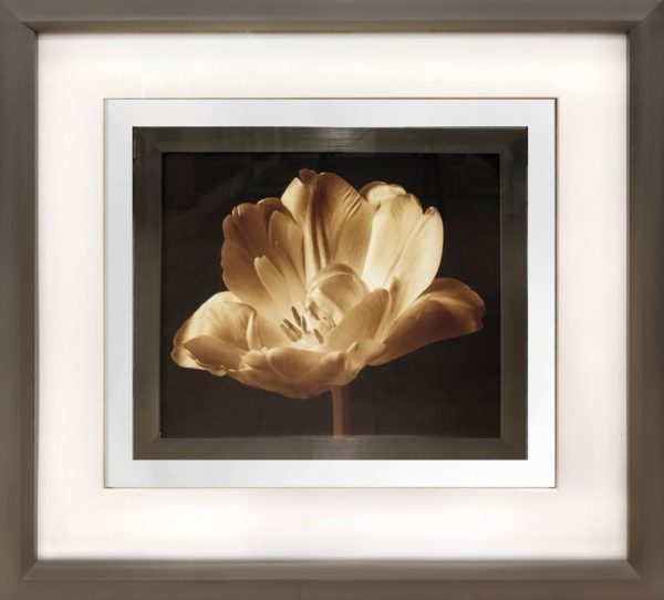 Art - Blooming II