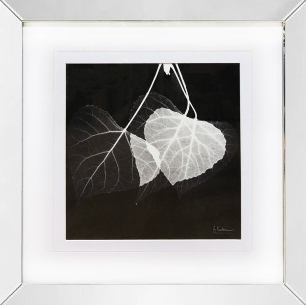 Art - Leaf Xray with Mirrored Frame