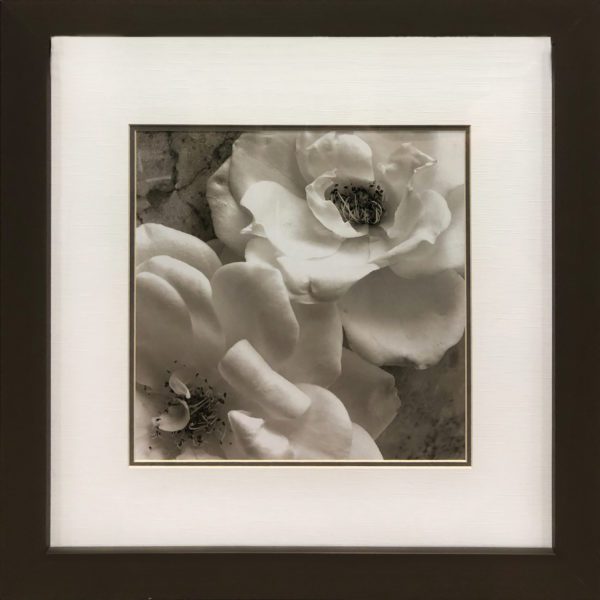 Art - White Bloom
