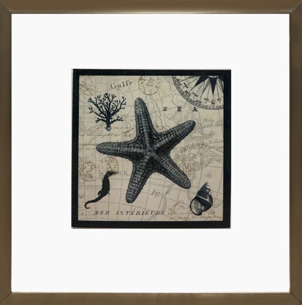 Art - Star Map