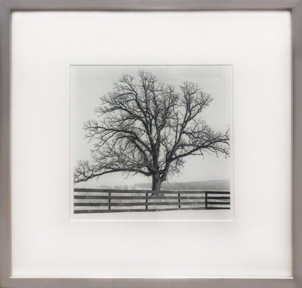 Art - Solitary