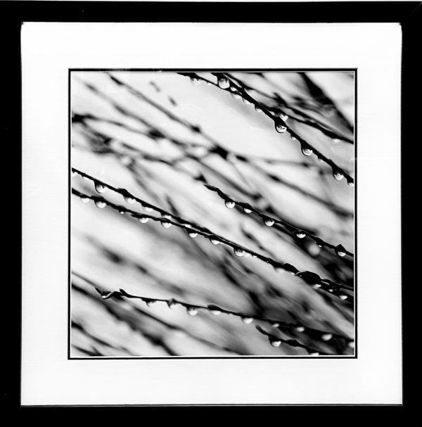 Art - Watered lines