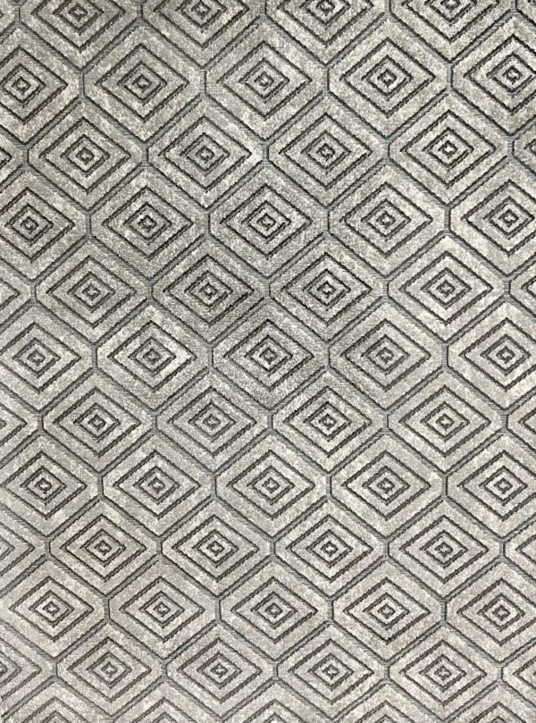 C83 - Carpet Pathfinder 5'x8'