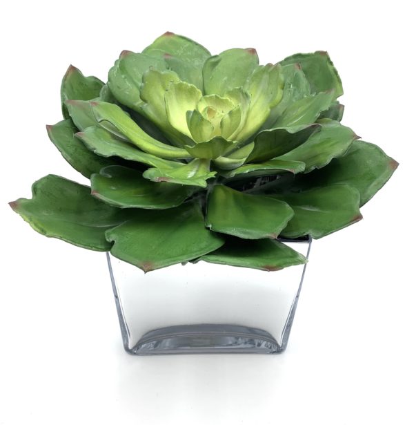 Arrangement 08 - Large Cactus in Square Mirrored Vase - Image 2