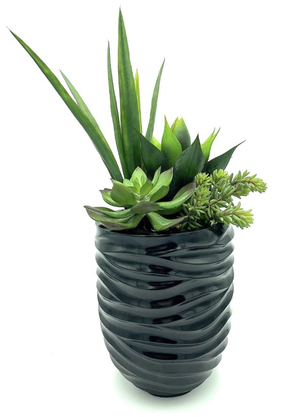 Arrangement 18 - Assorted Succulents & Cacti in Black Wave Vase