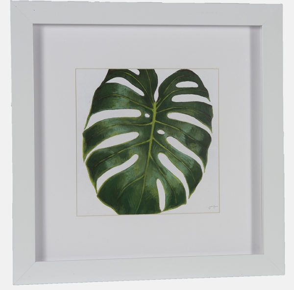 Art - Monstera Leaf