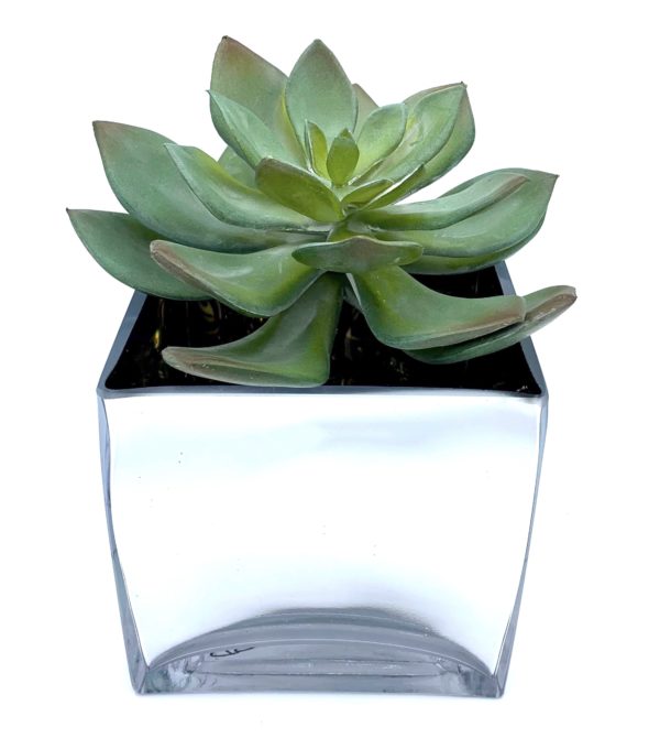 Arrangement 22 - Green Cactus In Square Mirrored Vase