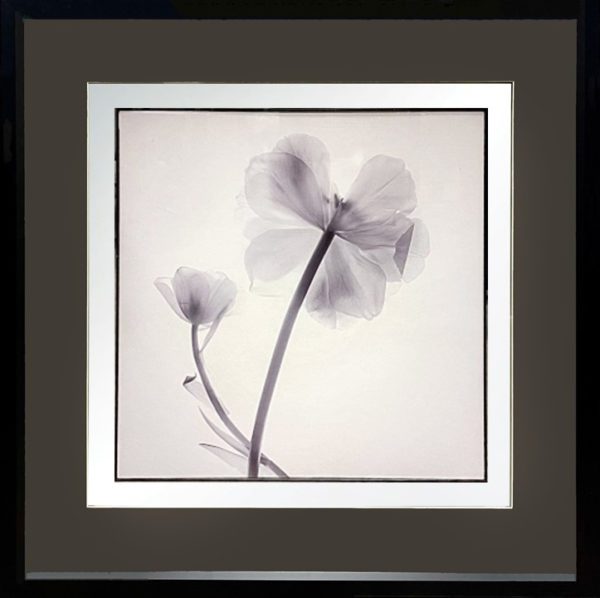 Art - Pressed Flower I