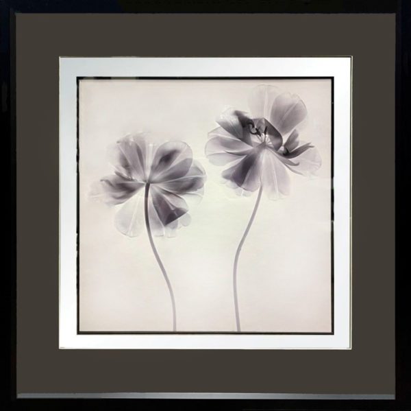 Art - Pressed Flower II