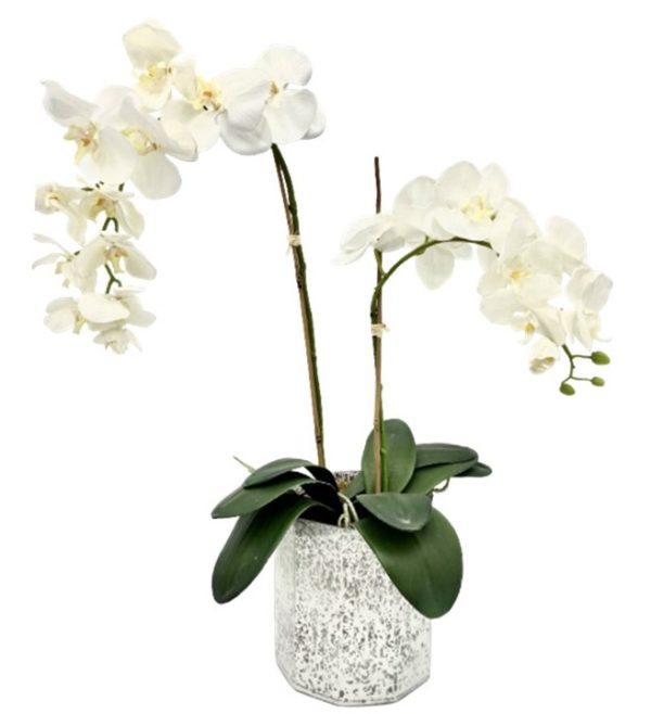 Arrangement 40 - Double Orchid in Mercury Glass Vase