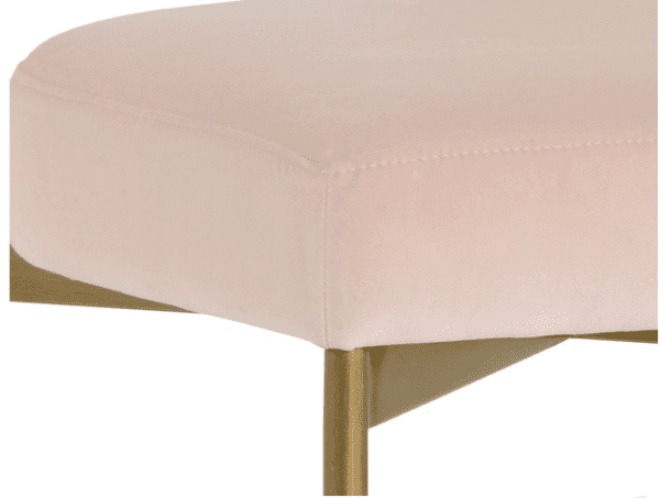 Nassau Chair Blush Velvet - Image 4