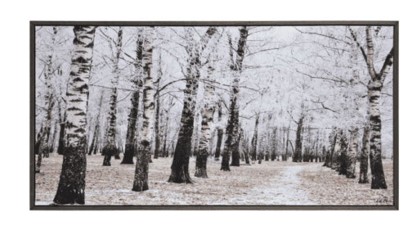 Art - Birchwood