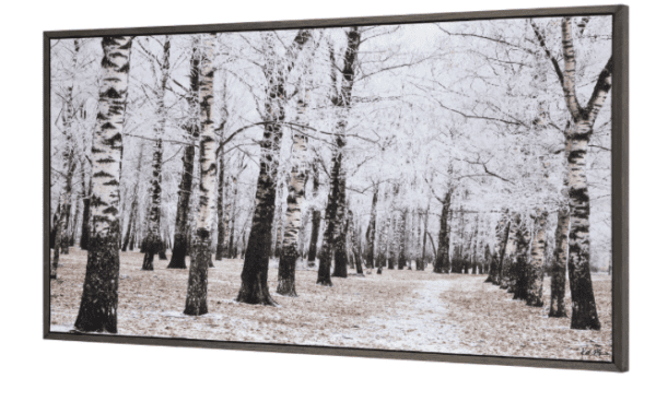 Art - Birchwood - Image 2