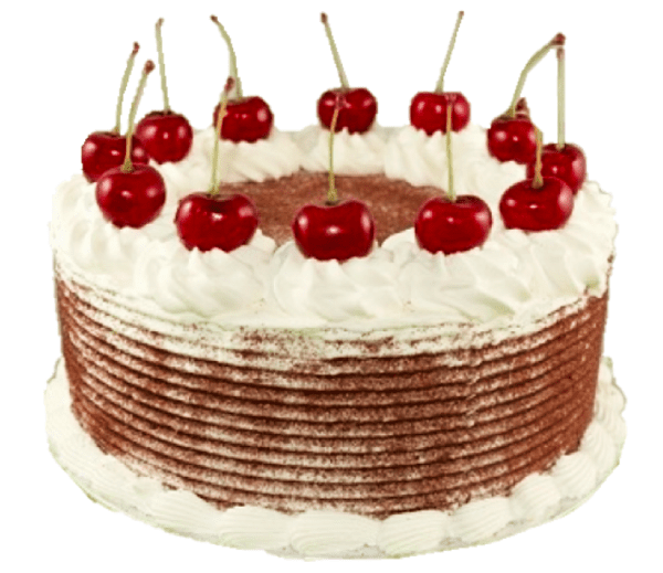 Faux Cake - Black Forest