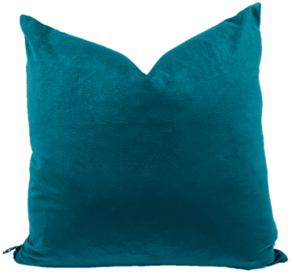 AC131 - Dark Teal Velvet Snake Skin