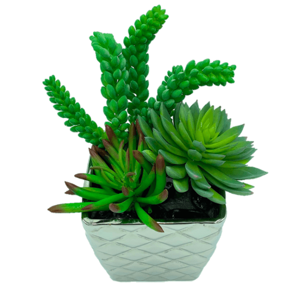 Arrangement 17 - Assorted Succulents in Quilted Chrome Vase - Image 2