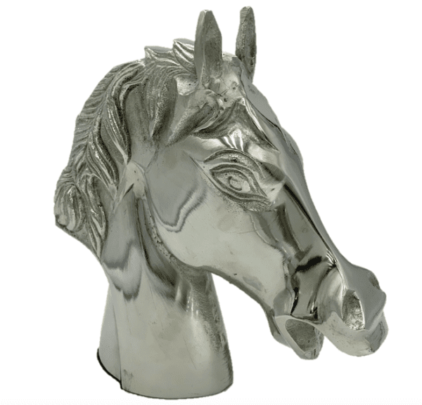 Chrome Horse Head