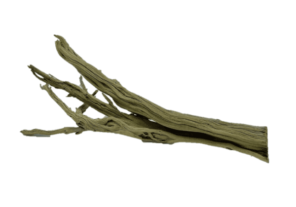 Natural Branch 2 - Driftwood