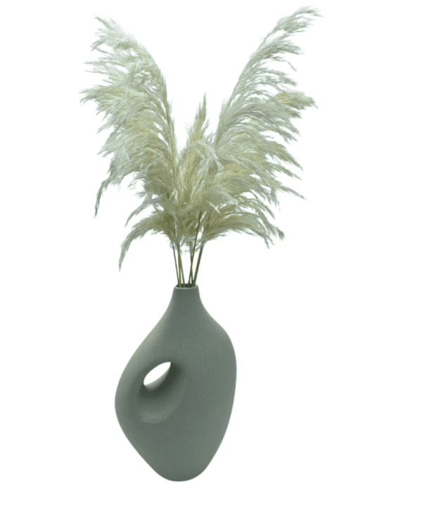 Arrangement 68 - Pampas Grass in Ceramic Ivory Vase