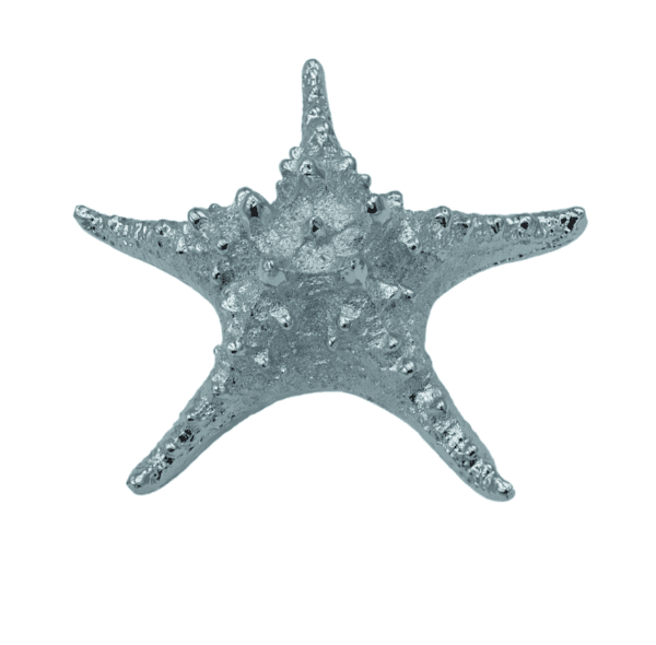 Chrome Raised Starfish