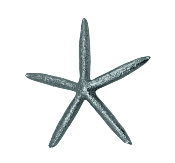 Chrome Flat Starfish