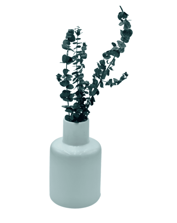 Arrangement 70 - Eucalyptus in White Ceramic Vase
