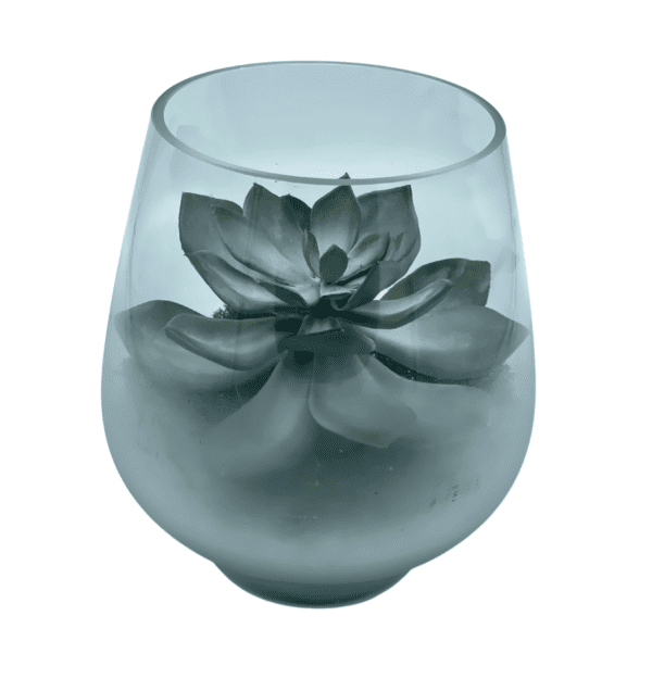 Arrangement 71 - Grey Cactus in White Frosted Vase