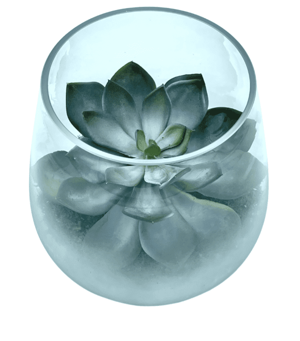 Arrangement 71 - Grey Cactus in White Frosted Vase - Image 2
