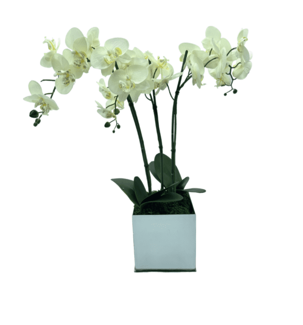 Arrangement 92 - 3 Orchids in Mirrored Vase