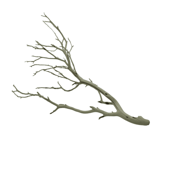 Natural Branch 3 - Small