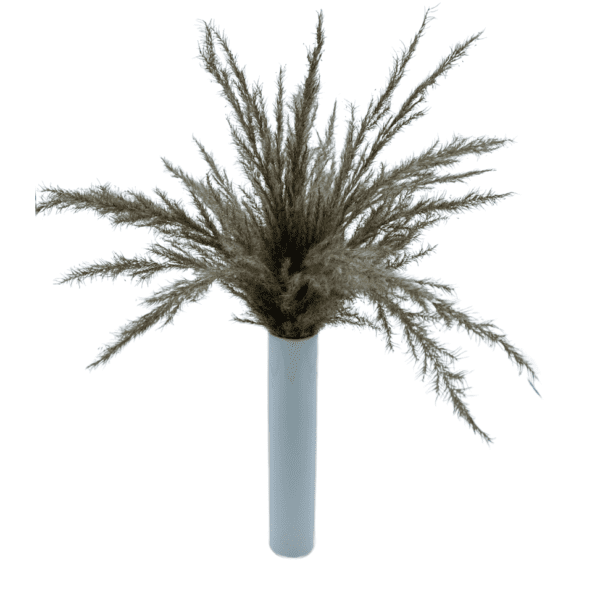 Arrangement 83 - Brown Pampas Grass in White Vase