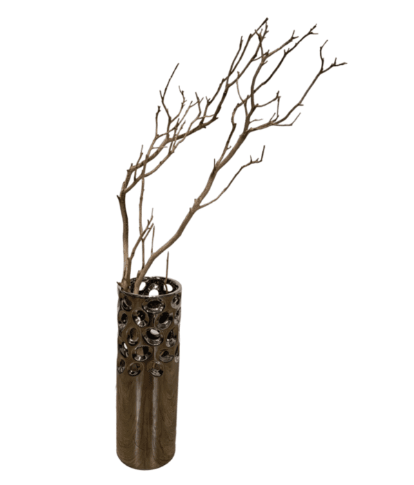 Arrangement 91 - Natural Branch in Decorative Chrome Vase