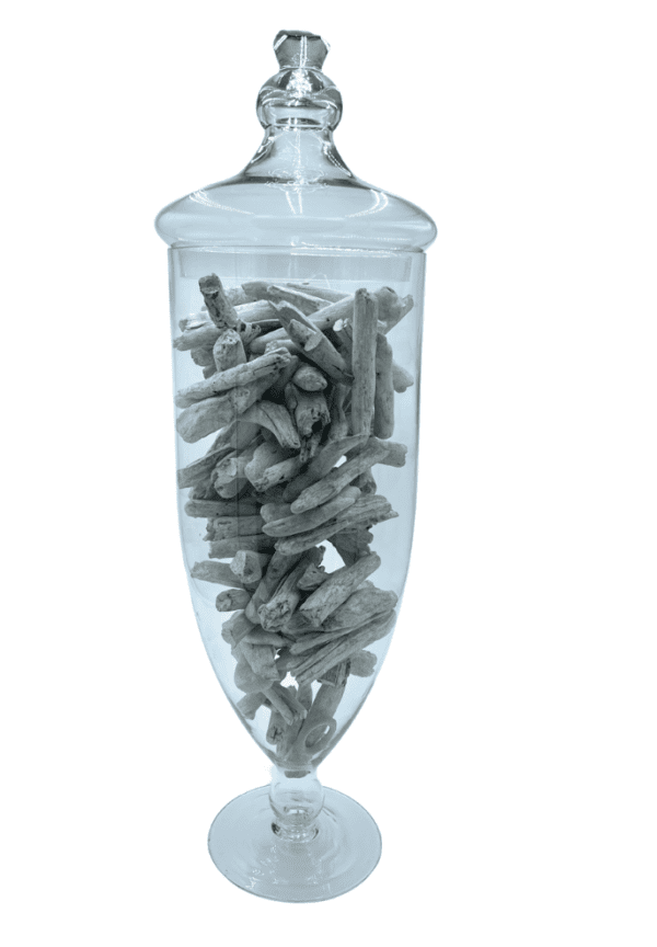 White Driftwood in a Large Apothecary Jar