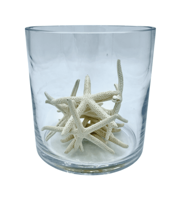 Ivory Mini Starfish in Glass Cylinder