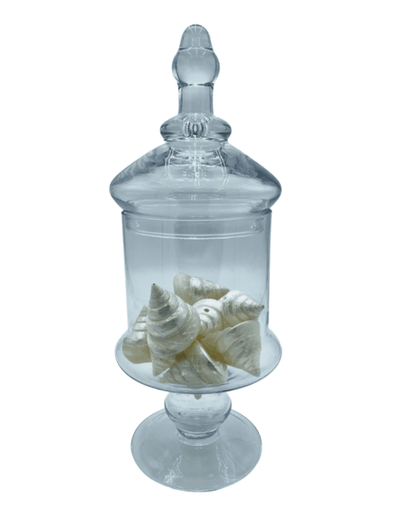 Pearl Shells in Glass Pedestal Jar