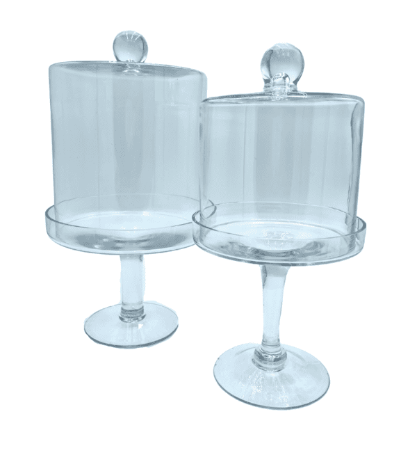 Glass Cake Stand with Dome (Set of 2)