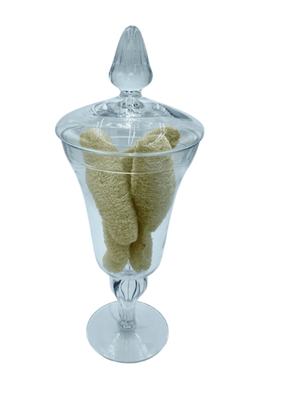 6 Natural Loofahs in a Glass Pedestal Jar