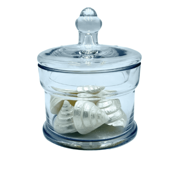 Glass Jar With 8 Cone Shells