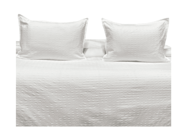 D06 - Double Comforter White with White Dot Embroidery (3-piece set)