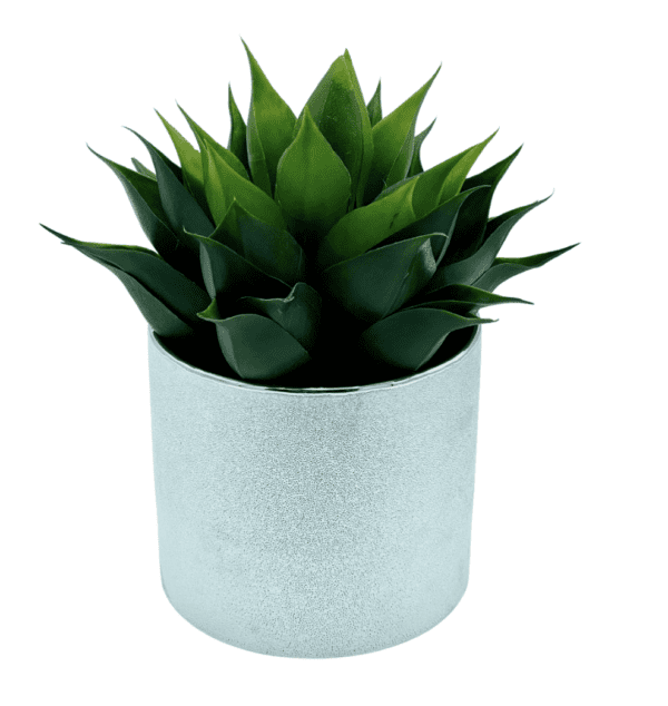 Arrangement 102 - Cactus in Silver Speckled Vase