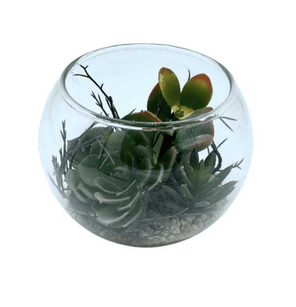 Arrangement 104 - Cacti in Bowl