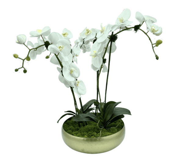 Arrangement 110 - XL White Orchid Centerpiece with 4 Stems in Gold Vase