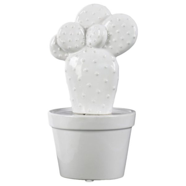 White Cactus I