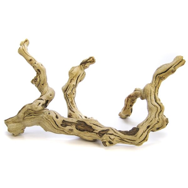 Natural Branch 1